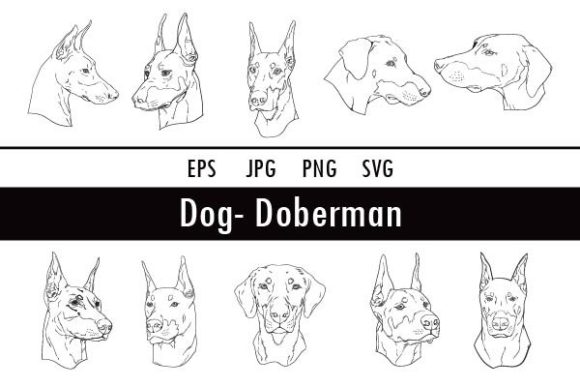 Dog-doberman
