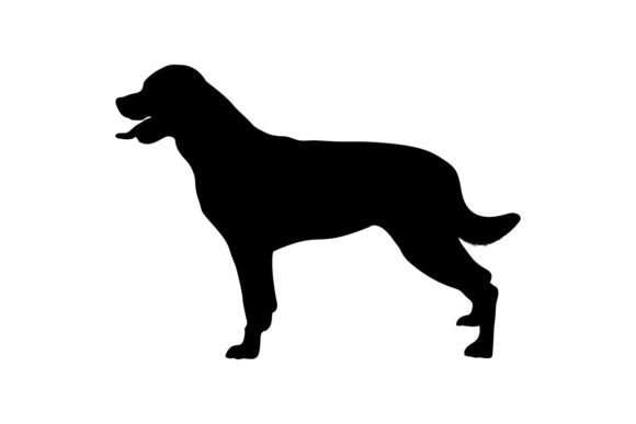 Rottweiler Svg Silhouette